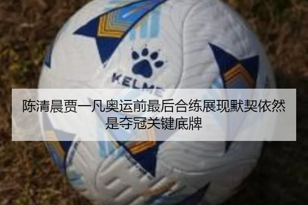 陈清晨贾一凡奥运前最后合练展现默契依然是夺冠关键底牌